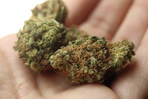 La légalisation du cannabis soulève de nombreuses questions dans les organisations.