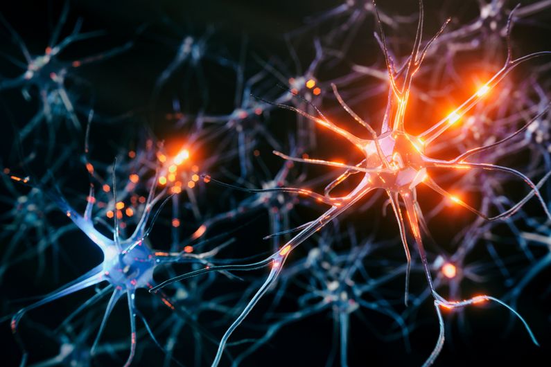 Surprenante résilience du cerveau pendant la période asymptomatique de la maladie de Parkinson