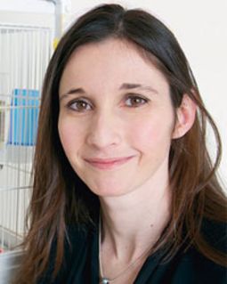 Après un doctorat obtenu à l’Université de Lyon en biomathématique et des recherches postdoctorales à l’UQAM, Frédérique Dubois a élaboré à l’UdeM un programme de recherche en biologie évolutive portant notamment sur la coopération et l’utilisation d’informations sociales chez les diamants mandarins.
