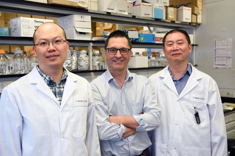 De gauche à droite: Jun Chen, stagiaire postdoctoral, André Veillette et Ming-Chao Zhong, chercheur associé.