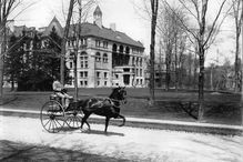 A horse and sulky belonging to a Mr. Grant on the grounds of McGill University in 1900.