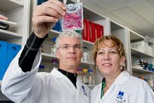 C'est en 2014 que les équipes de Guy Sauvageau et d'Anne Marinier ont découvert la molécule UM171.
