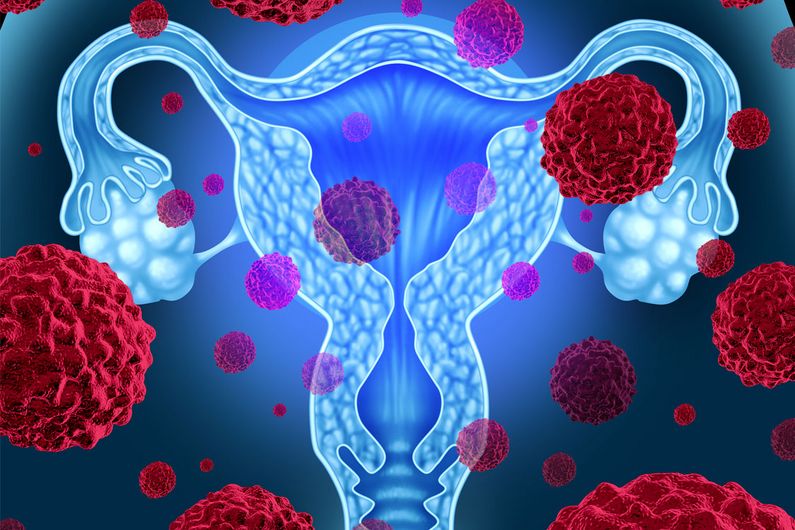 This discovery brings hope for developing more effective therapies to combat one of the most prevalent and dangerous cancers in women. 