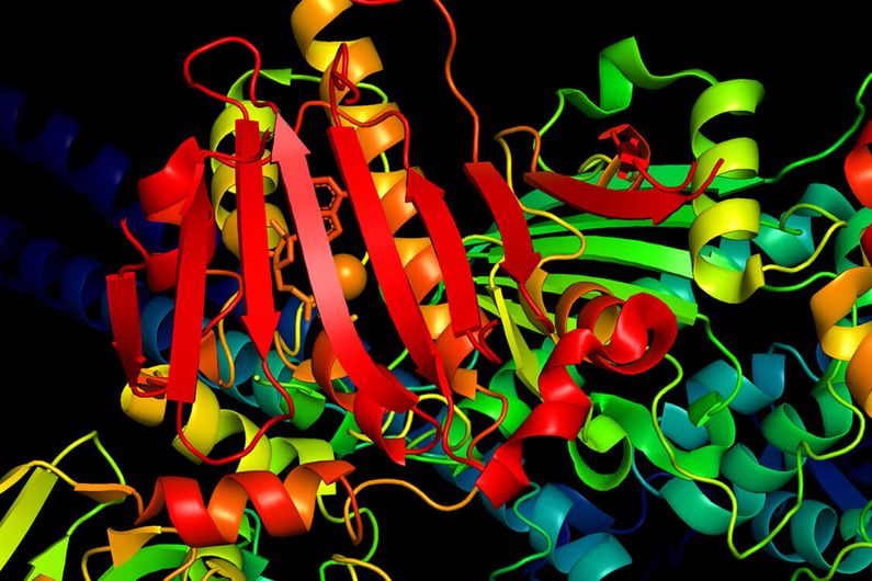 Les protéines BAP1 et ASXL2 sont des «supresseurs de tumeurs»: leur association mutuellement bénéfique permet la protection des cellules, assurant ainsi une préservation des organes contre le cancer.  
