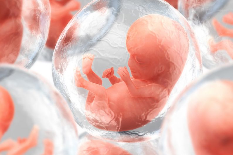 Un couple canadien sur six est touché par l’infertilité. Certains d’entre eux se tournent alors vers la fécondation in vitro. Mais les embryons ainsi obtenus présentent souvent des défauts.