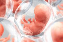 Un couple canadien sur six est touché par l’infertilité. Certains d’entre eux se tournent alors vers la fécondation in vitro. Mais les embryons ainsi obtenus présentent souvent des défauts.