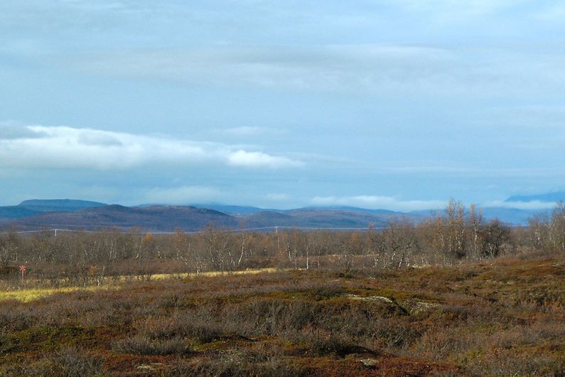 Permafrost peatlands of northern Finland where Carolina Voigt took core samples for her lab experiments.