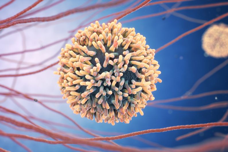 Essentiels pour la coordination des réponses immunitaires, les lymphocytes T CD4 sont d’importants globules blancs qui contribuent au contrôle des infections chroniques comme le VIH. 