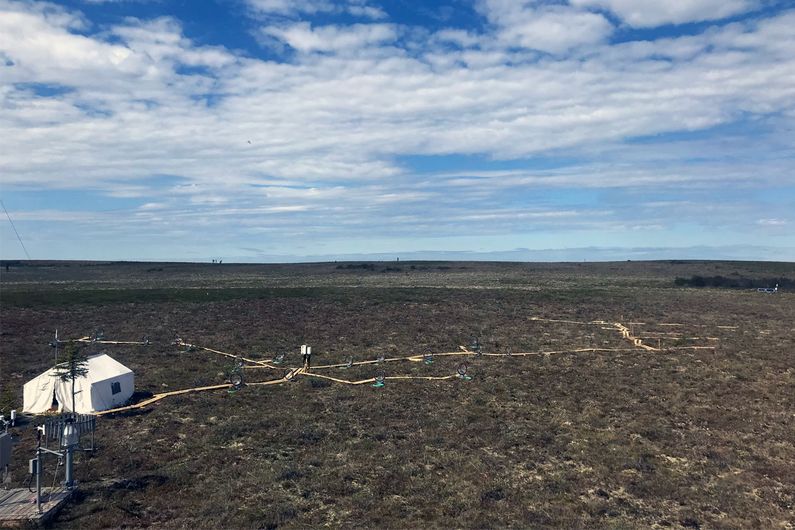 Les chercheurs de l'UdeM mesurent en continu les flux de GES émis durant l'été à la station de recherche de Trail Valley Creek, située à 45 km au nord d’Inuvik, dans les Territoires du Nord-Ouest.