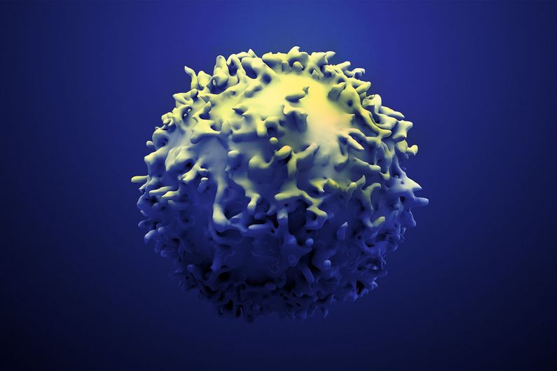 A new cell therapy approach that boosts the immune response of T lymphocytes to malignant tumours has been discovered.