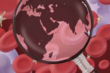 Un consortium international de chercheurs en génétique a étudié 15 caractéristiques des cellules du sang de plus de 700 000 participants issus de cinq populations du globe dans le but de mettre au jour des mutations spécifiques à certaines de ces populations.