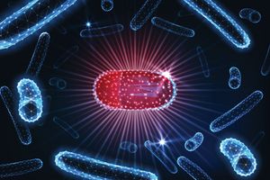Un mécanisme d’action inédit présent dans deux nouveaux antibiotiques susceptibles de traiter les infections antibiorésistantes vient d'être mis au jour.