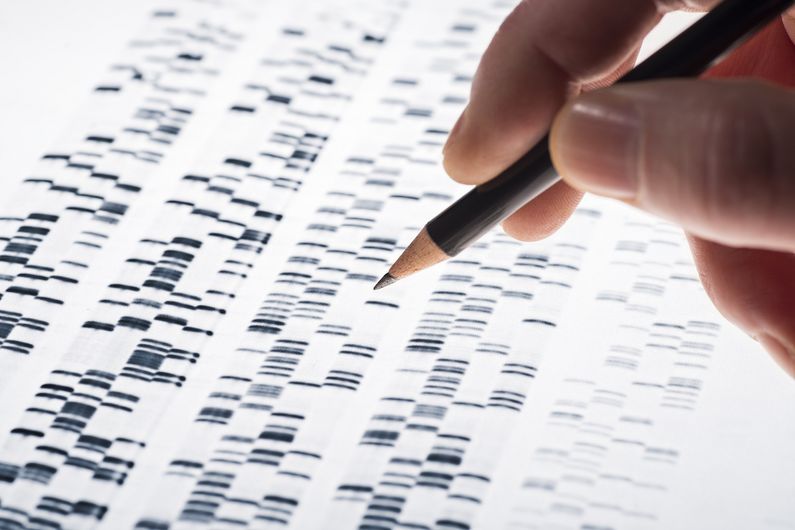 A team of researchers has succeeded in using  bioinformatics to develop a statistical model to assess how the gain or loss of genetic material impacts the risk of autism. 
