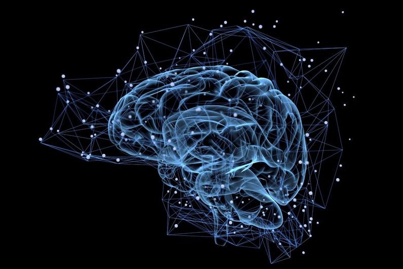 Menée par les professeurs Jean-Claude Lacaille, de l'UdeM, Nahum Sonenberg et Arkady Khoutorsky, de l'Université McGill, et Kobi Rosenblum, de l'Université de Haïfa, l'étude a également montré que chaque système neuronal peut être manipulé de manière sélective pour agir sur la mémoire à long terme.