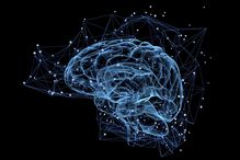 Menée par les professeurs Jean-Claude Lacaille, de l'UdeM, Nahum Sonenberg et Arkady Khoutorsky, de l'Université McGill, et Kobi Rosenblum, de l'Université de Haïfa, l'étude a également montré que chaque système neuronal peut être manipulé de manière sélective pour agir sur la mémoire à long terme.