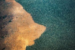 Les répercussions de l’activité humaine sont visibles partout où les chercheuses ont mené leurs travaux, soit principalement en Tanzanie, au Congo et en République centrafricaine.