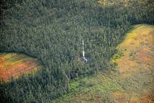 Image aérienne d'une tourbière entourant la forêt à Scotty Creek, dans les Territoires du Nord-Ouest. Au centre, une tour de covariance des turbulences qui mesure les flux de carbone, d’eau et de chaleur issus de la tourbière.