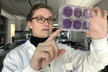 La professeure Nathalie Grandvaux a obtenu plus d’un demi-million de dollars de la Fondation canadienne pour l’innovation afin d’adapter le laboratoire du Centre de recherche du CHUM au «niveau de confinement 3», ce qui permet la manipulation de virus extrêmement dangereux comme le SRAS-CoV-2.