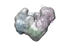 Modélisation du complexe enzymatique, nommé HTC