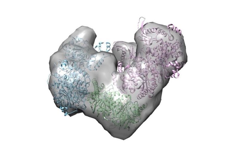 A rendering of the enzyme complex named HTC