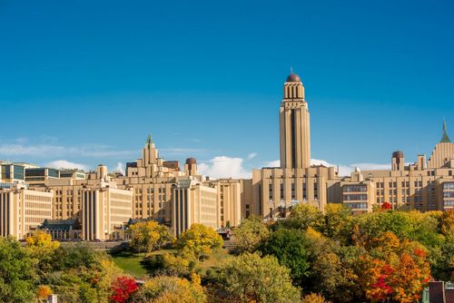 Four UdeM professors appointed to the Order of Excellence in Education