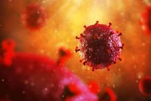To survive in the human body, HIV burrows into immune cells that serve as a refuge and allow it to continue to multiply.