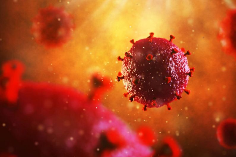 To survive in the human body, HIV burrows into immune cells that serve as a refuge and allow it to continue to multiply. 