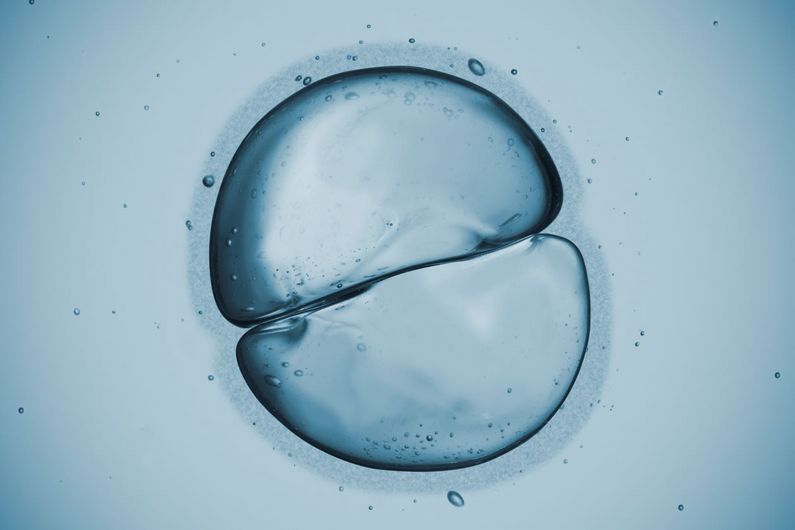 Dans les manuels de science, la représentation traditionnelle de la cytocinèse est illustrée très simplement: les deux côtés de la cellule mère se divise de façon symétrique pour créer deux nouvelles cellules filles.