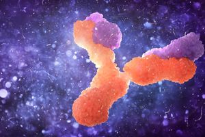 Cellules immunitaires