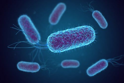Colorectal cancer and E. coli: new insights