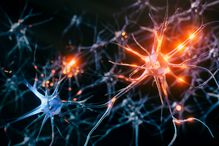 Surprenante résilience du cerveau pendant la période asymptomatique de la maladie de Parkinson