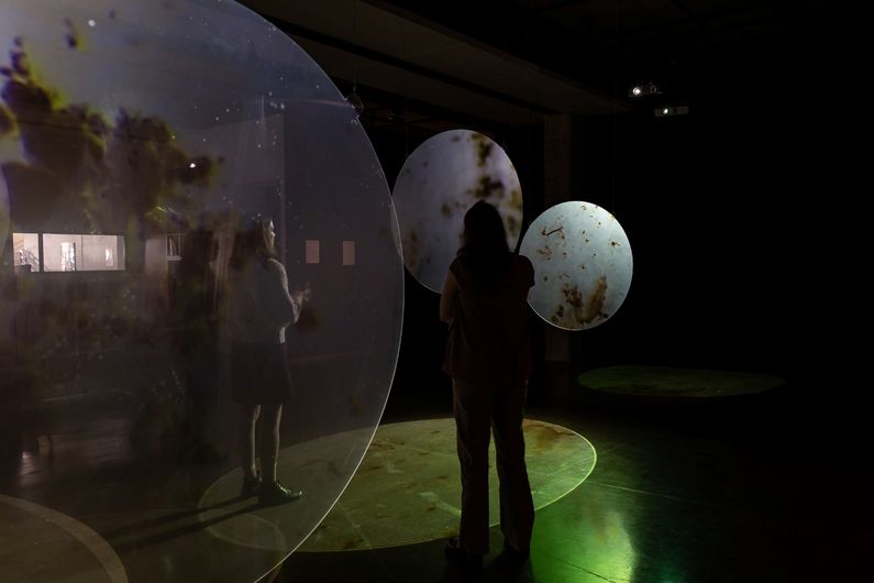 L'exposition «D’après mesures», où arts et sciences se mêlent dans une atmosphère onirique. 
