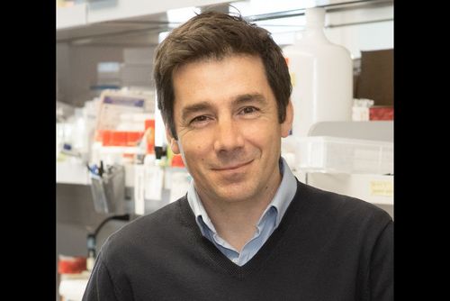 Nicolas Chaumont receives award for excellence in HIV research