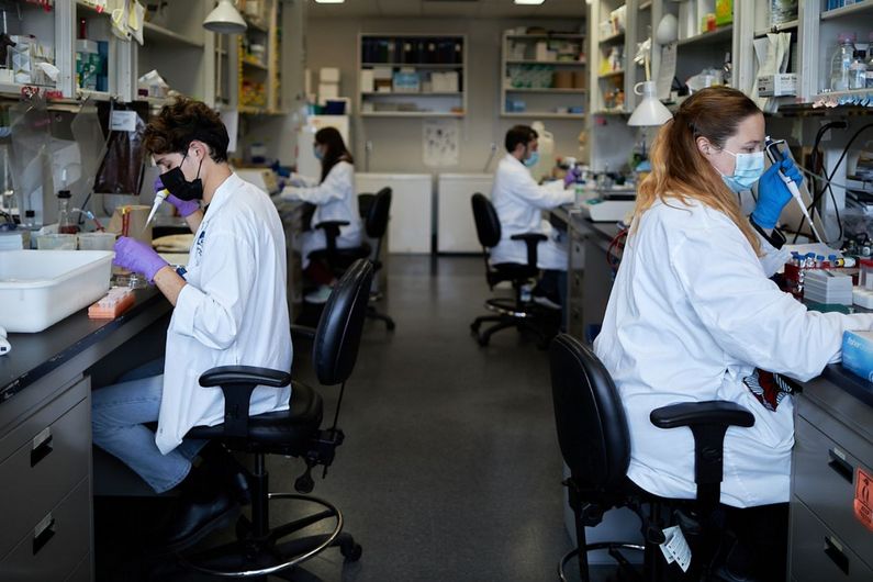 The key to the IRIC’s success lies in its multi-faculty structure (medicine, pharmacy, arts and science), which is unique in Canada, and its focus on advancing both basic research and the drug commercialization process.