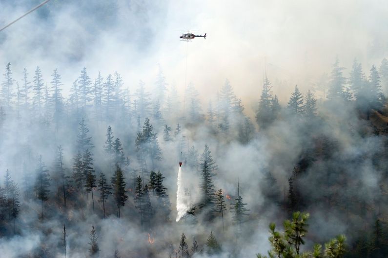 La combustion de matière organique produit des fumées composées d’un mélange complexe de gaz et de particules comme le monoxyde de carbone, les oxydes d’azote, l’ozone et les hydrocarbures aromatiques polycycliques, tous des contaminants atmosphériques ayant des effets négatifs sur la santé humaine.