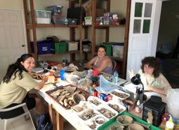 All three anthropology students at UdeM, Cynthia Bello-Hernandez, Yasmine Flynn-Arajdal and Gabrielle Proulx work in the Flores laboratory.