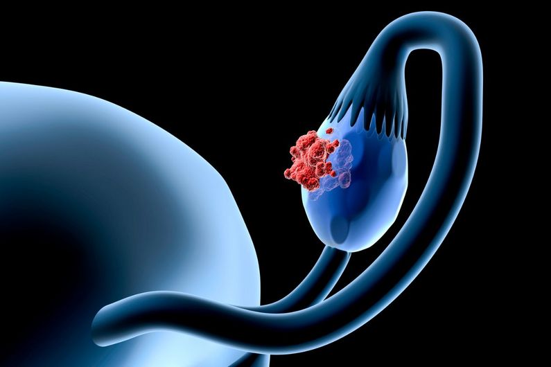 L’équipe du laboratoire Gagnon a développé un nouveau protocole de culture cellulaire, nommé LTHY (pour «Long-Term Hypoxia», ou hypoxie à long terme).