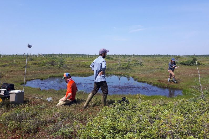 Julien Arsenault, Jean-François Lapierre and Émilie Jolin around a natural pond in the Grande-Plée-Bleue peat bog in Lévis. Covering nearly 1,500 hectares (15 square kilometres), this peat bog is one of the largest and rarest peat bogs in southern Quebec still in its natural state.