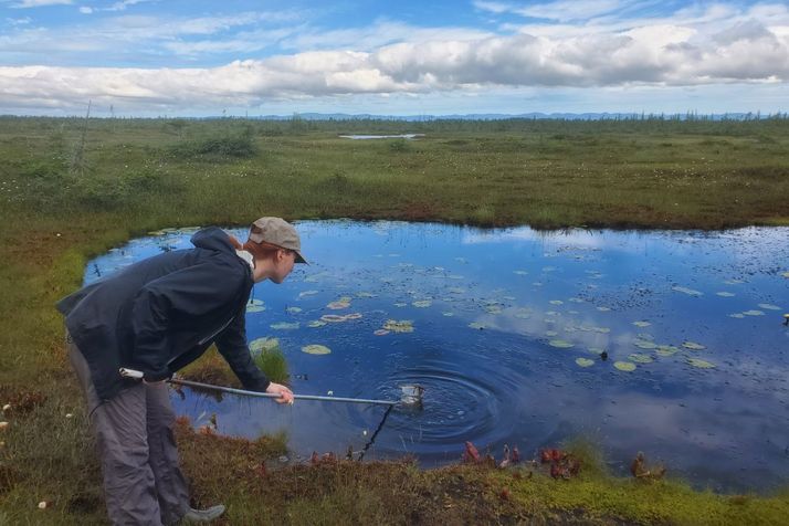 Student and teaching assistant Marie-Pier Ménard, from the UdeM Department of Geography, samples a pond in the Grande-Plée-Bleue peat bog in Lévis.