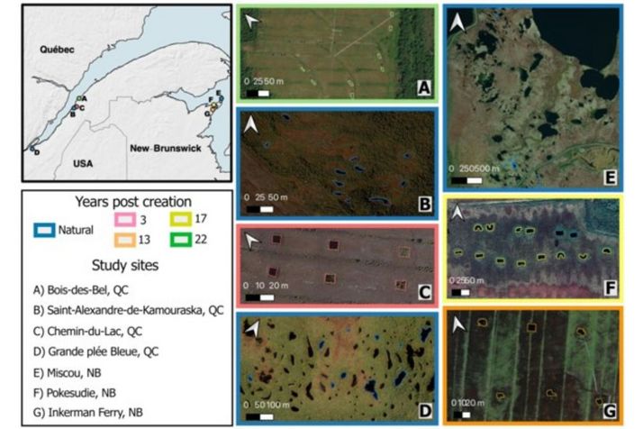 No fewer than 61 ponds were sampled in seven peat bogs, four located in Quebec and three in New Brunswick.