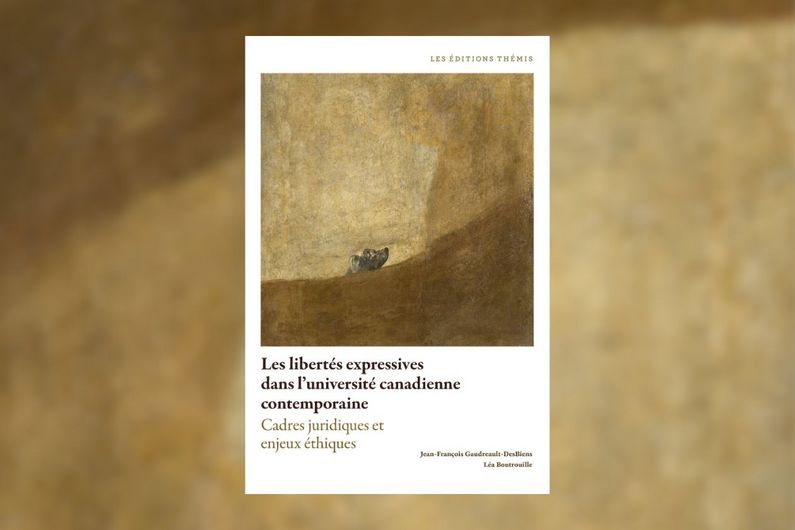 La page couverture présente une reproduction d’une célèbre «toile noire» de Goya, «Le chien», dont la facture ambigüe permet aux auteurs d’évoquer le sort incertain des universités. Un peu comme l’institution universitaire dont on ne sait pas si elle s’enlisera durablement dans un climat de crise ou si elle le dépassera, «il est difficile de dire si le chien va être avalé par la gangue beige de la toile ou s’il va au contraire parvenir à s’en extraire», analyse Jean-François Gaudreault-DesBiens, grand amateur d’art. Et, somme toute, optimiste.