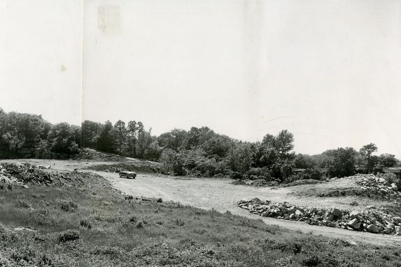 Au cours de la décennie 1920, l'emplacement retenu pour la construction du nouveau pavillon est une ancienne carrière de calcaire de la Ville de Montréal située sur le flanc nord du mont Royal.