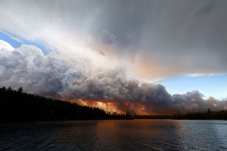 Les lacs perturbés par les feux de forêt contiennent davantage de carbone total, avec des variations régionales.