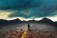 Tristesse, impuissance, colère, espoir… Face aux bouleversements environnementaux, les émotions se bousculent.