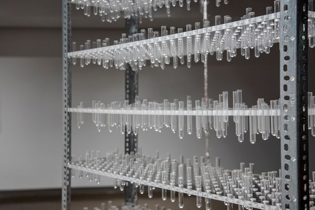 L'installation "12 millions" réalisée à partir de centaines d’éprouvettes des laboratoires de biologie de l’Université de Montréal.