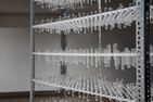 L'installation "12 millions" réalisée à partir de centaines d’éprouvettes des laboratoires de biologie de l’Université de Montréal.