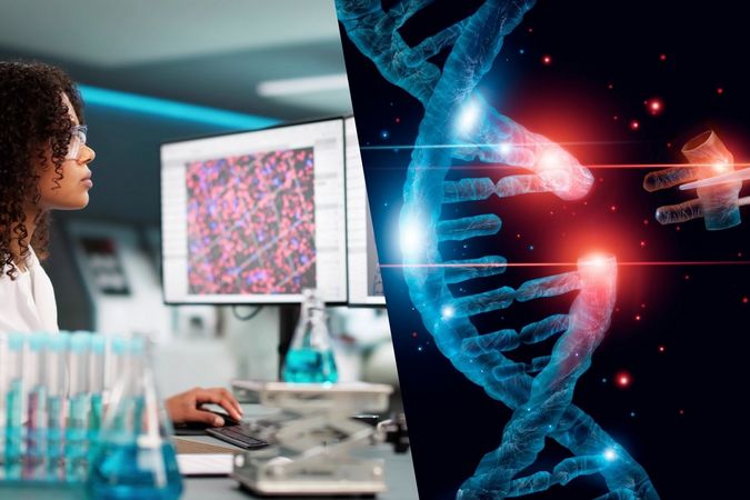 Unlike traditional approaches that insert a functional gene to compensate for a defective one, prime editing works at the source: it literally corrects the mutation in stem cells to replace a faulty immune system with a corrected, functional one.