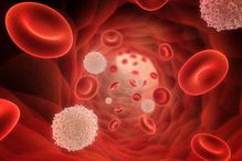 Cet agrément atteste l'engagement continu de l'IHOT quant à l'excellence en matière de soins, de collecte de cellules souches et de production cellulaire.