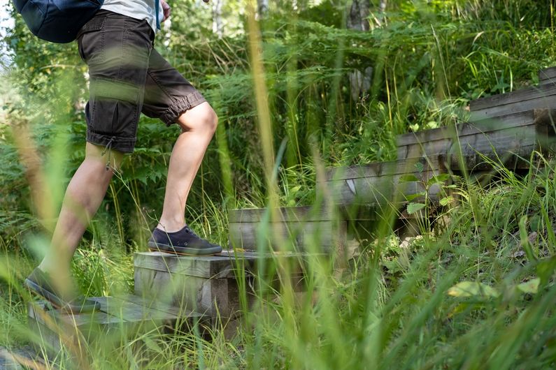 Dans la lutte contre la maladie de Lyme, c’est la protection individuelle qui demeure la première ligne de défense.