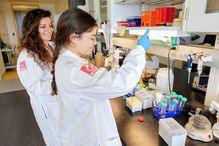 La postdoctorante Pauline Garcia et l'étudiante au baccalauréat en microbiologie, Maya Sottolichio